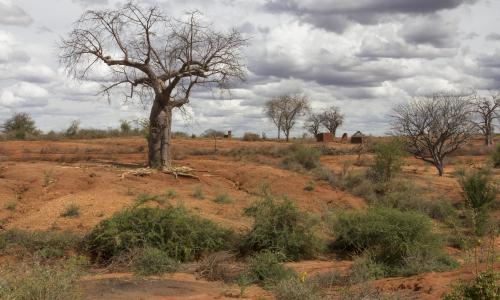 Arid landscape in Kenya's Eastern province.