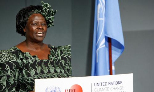 An image of Wangari Maathai