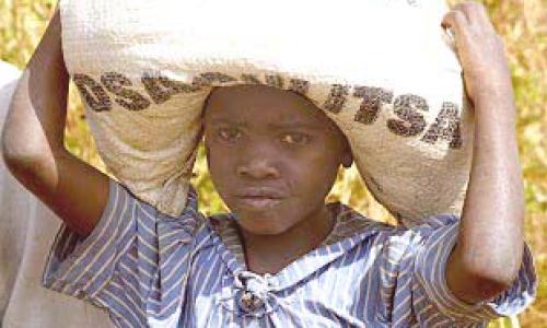 Food aid arrives in Malawi, but will the region get enough relief to prevent many more deaths?  Photo : ©WFP / Mike Higgins