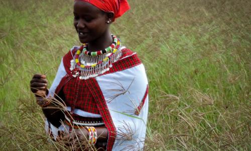 In Kenya and around the world, women farmers often lead the way in adopting sustainable agricultural practices. Photo: Leonard Odini/UNDP Kenya