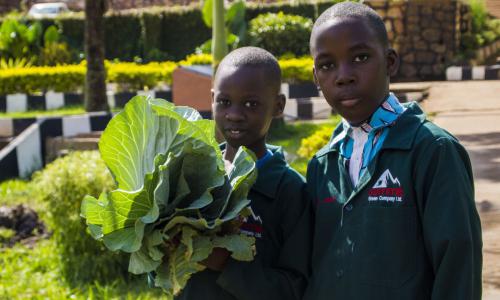 A student holding an SDG badge (top). Students holding vegetables from the school garden (left). Brian (WEYE Clean Energy) displays a  bag of briquettes (right).  Photo:  Solomon Musisi