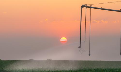 Zambia is being told to put public money into doing agriculture well. Photo: Arne Hoel / World Bank.